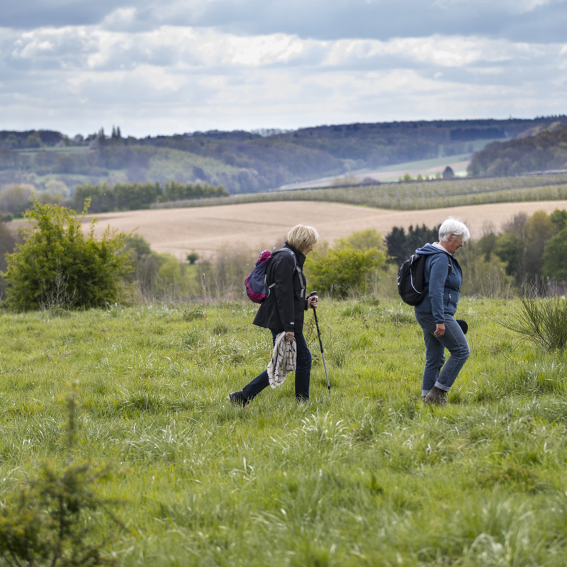 Panoramisch uitzicht met twee wandelende dames