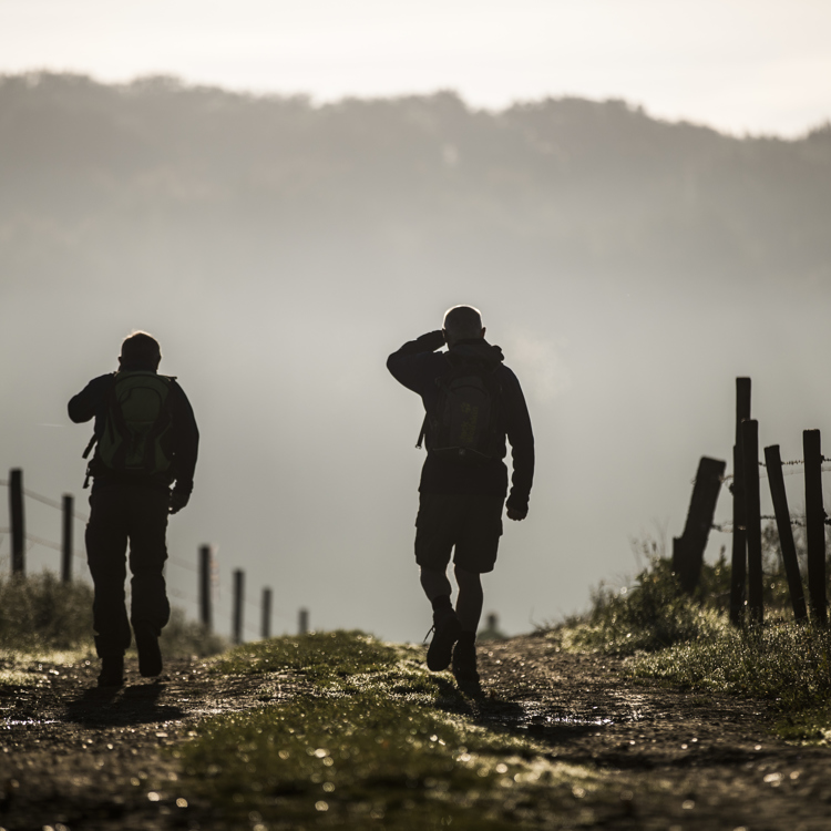 Twee wandelaars in mistig landelijk gebied