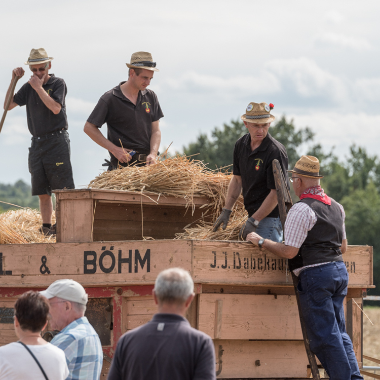 Inwoners van Voerendal vieren samen het oogstdankfeest met boeren op een kar