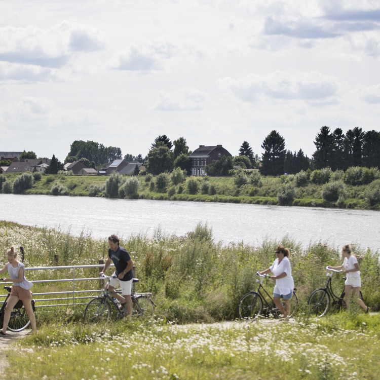 Fietsers langs de Maas in het RivierPark Maasvallei