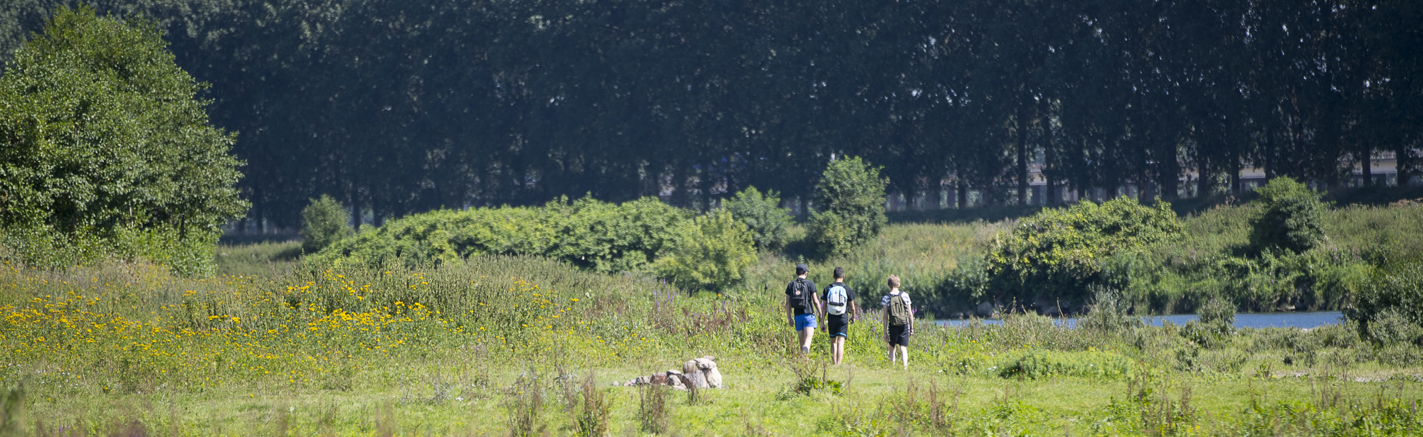 Wandelaars struinend langs de Maas in het RivierPark Maasvallei