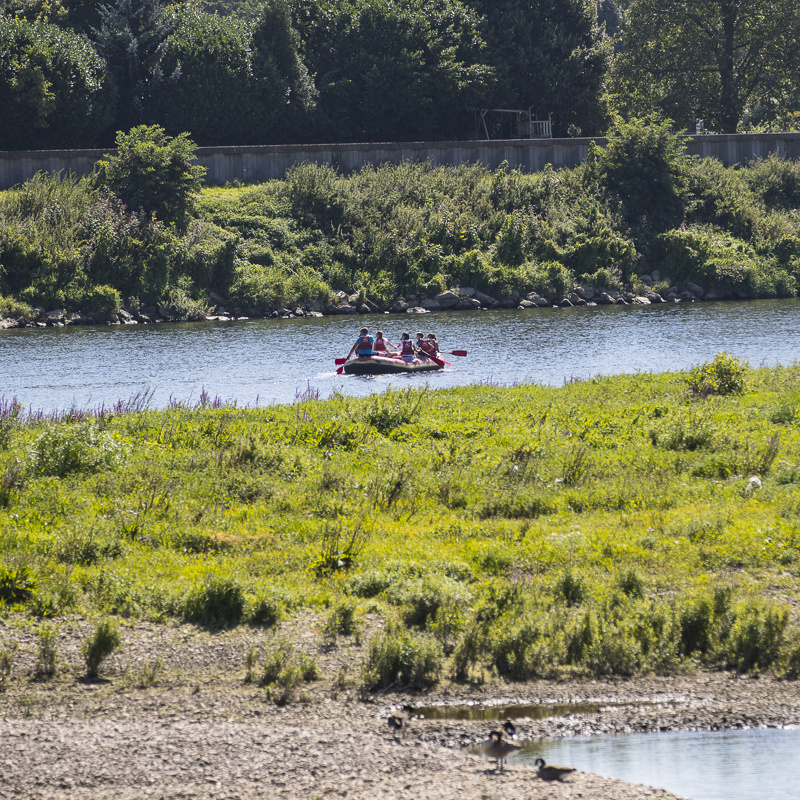 Rafting bootje over de Maas in het RivierPark Maasvallei