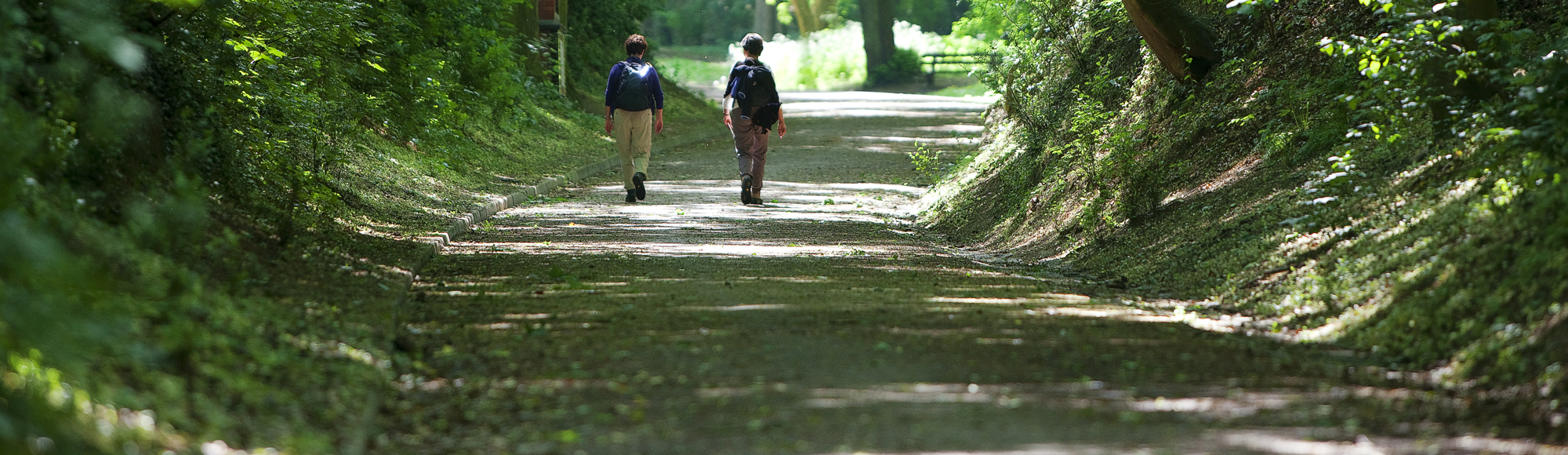 Twee wandelaars op de Kollenberg in Sittard