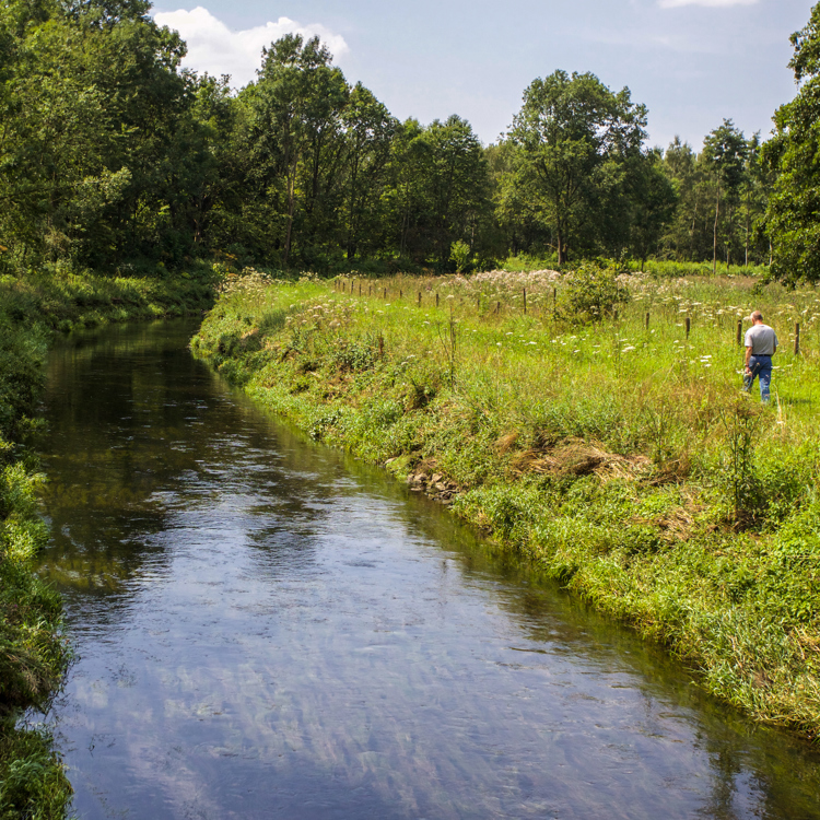 Wandelaar langs de Geleenbeek