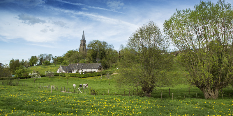 Vakantiehuis De Heerlijkheid in Vijlen met achterliggende kerk en koeien