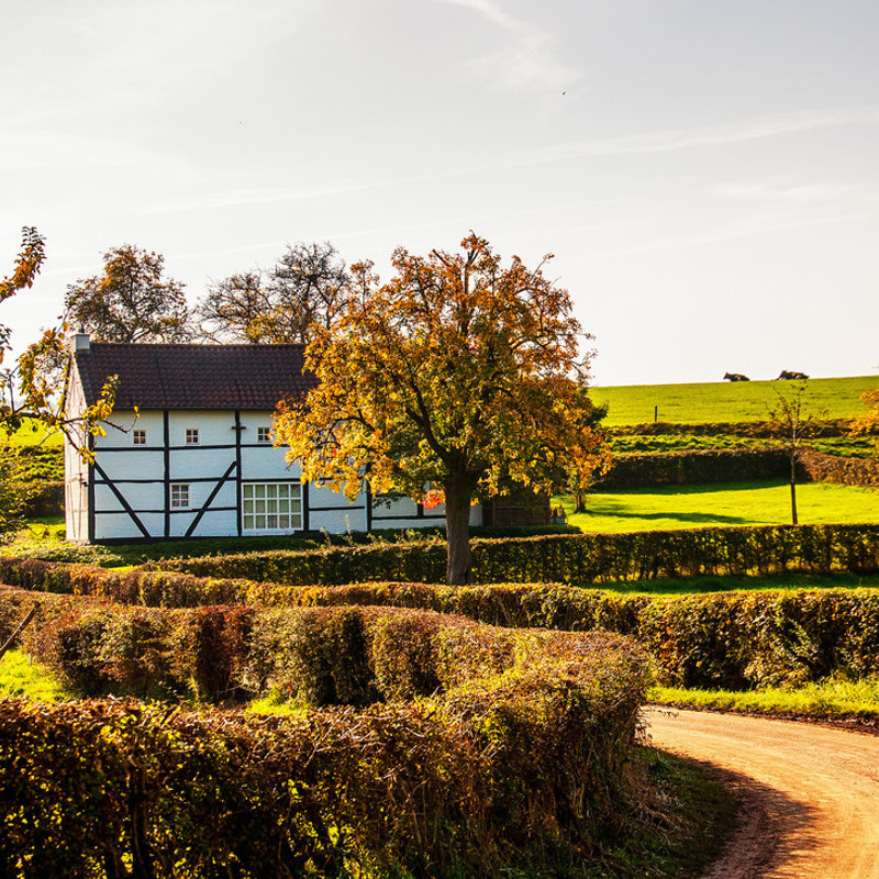 Vakwerkhuis in landschap met heggen en bomen