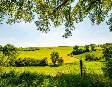 Foto met prachtig zonovergoten heuvellandschap in Elkenrade