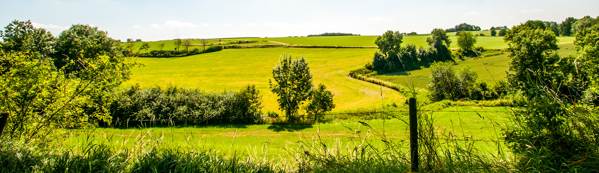 Foto met prachtig zonovergoten heuvellandschap in Elkenrade