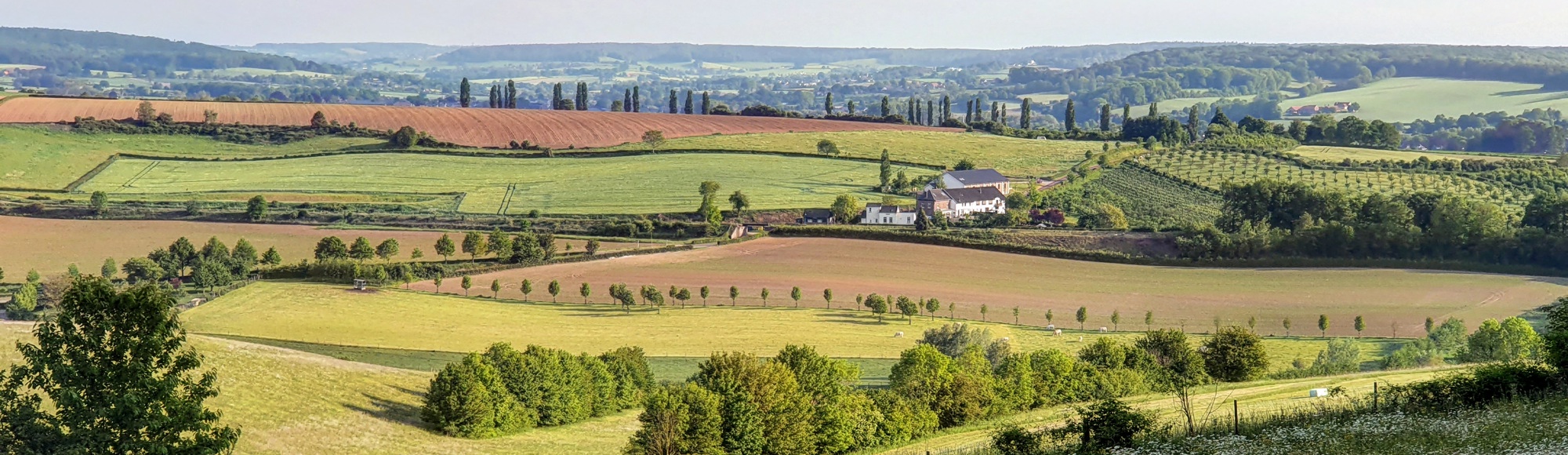 Landschapsfoto vanaf de Eyserbosweg op de 'Toscana' in Nederland