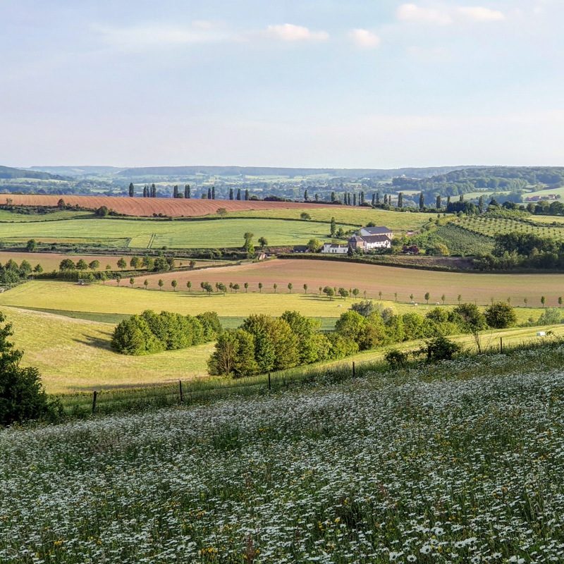 Landschapsfoto vanaf de Eyserbosweg op de 'Toscana' in Nederland