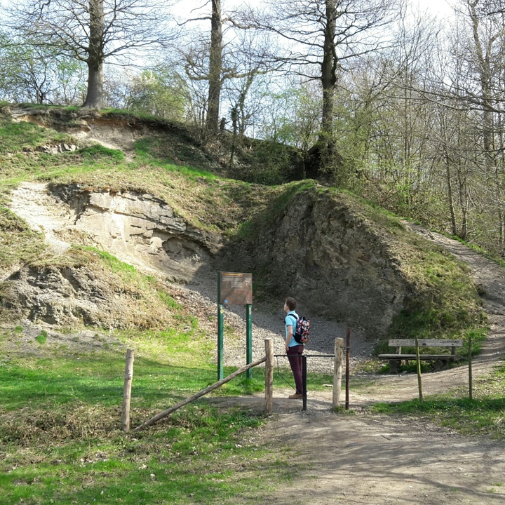 De Heimansgroeve is een geologische schat in het Geuldal