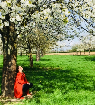 Blog Jenneke Hallo Lente zittend onder boom met bloesem