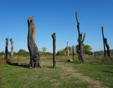 Zicht op het monument woodhenge in Meers