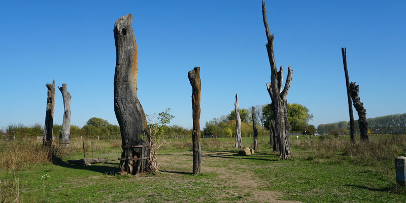 Zicht op het monument woodhenge in Meers