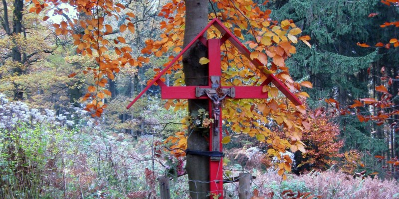 Rood wegkruis tijdens de herfst in bosgebied