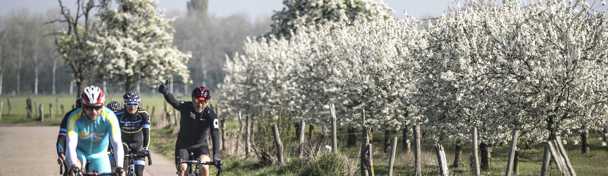 Wielrenners rijdende langs bomen met bloesem