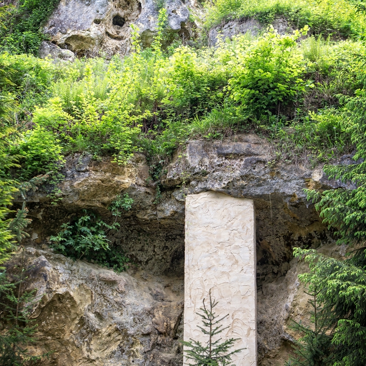 Een mergelsteilwand met begroeiing in Valkenburg