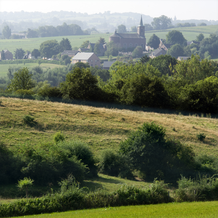 Groene Hotspot Geuldal Vanuit Wei Met Kerk En Dorp Op Achtergrond