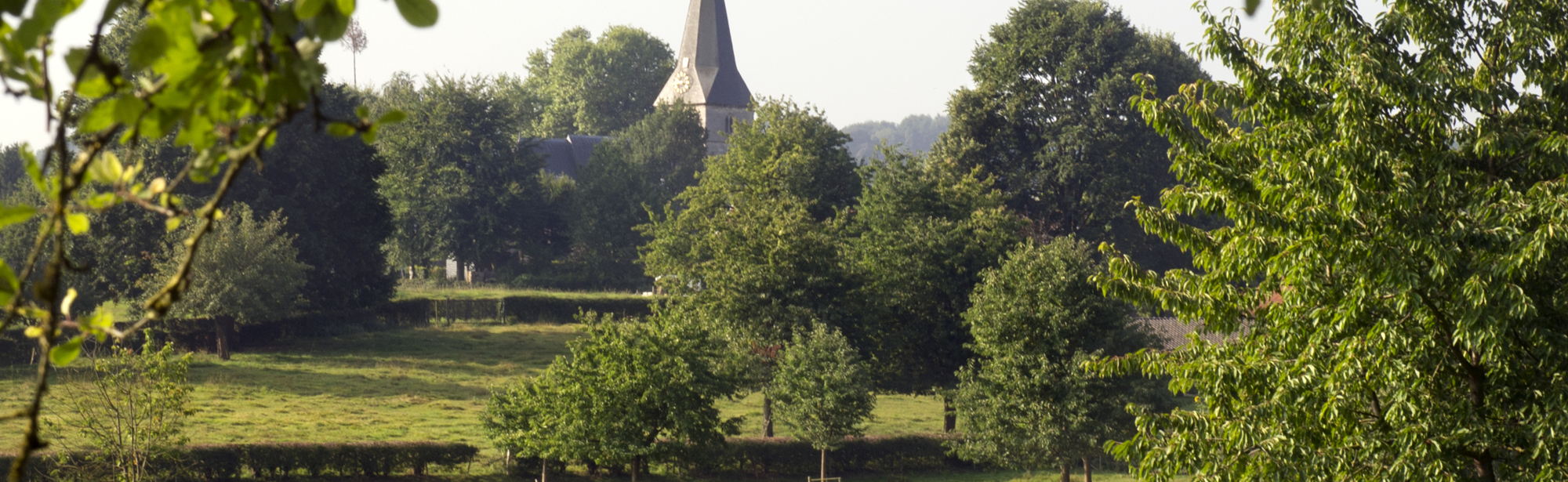 Groene Hotspot Noordal Vanuit Wei Met Kerk Op Achtergrond