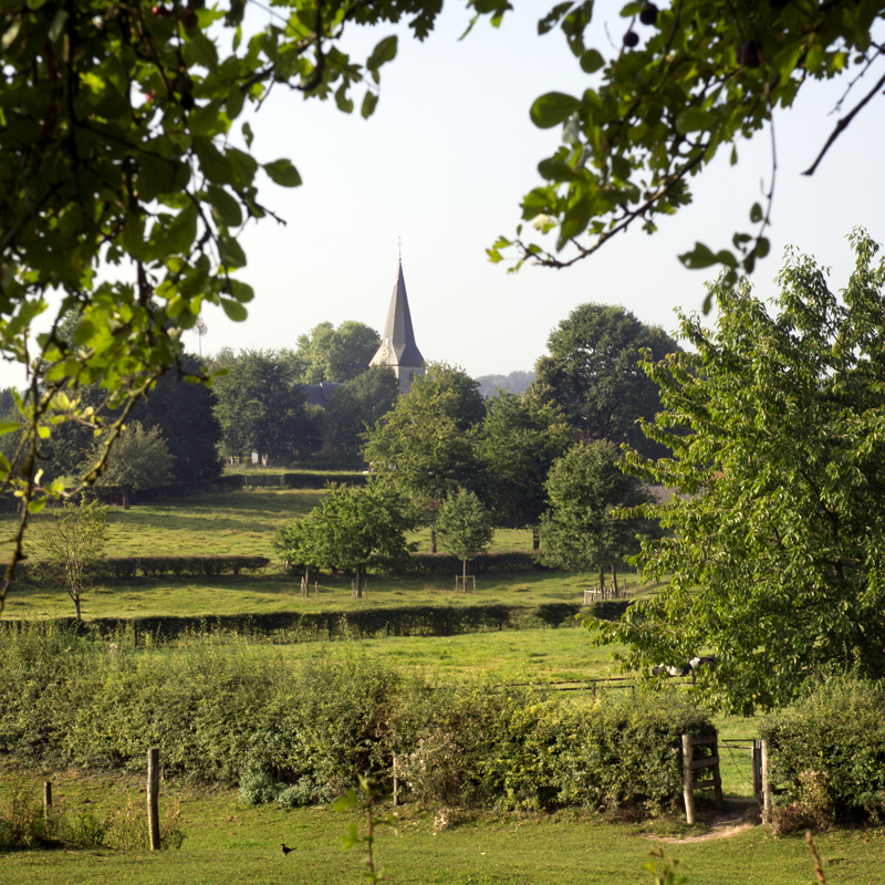 Groene Hotspot Noordal Vanuit Wei Met Kerk Op Achtergrond