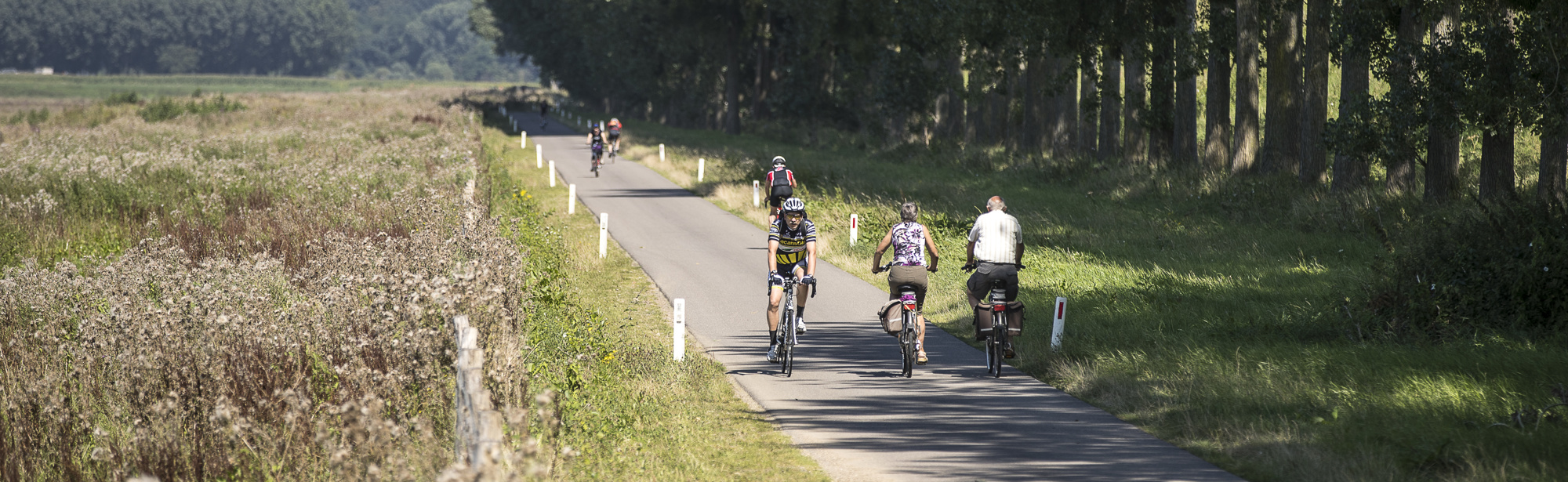 Een aantal fietsers fietsen over een verharde weg door het Rivierpark Maasvallei