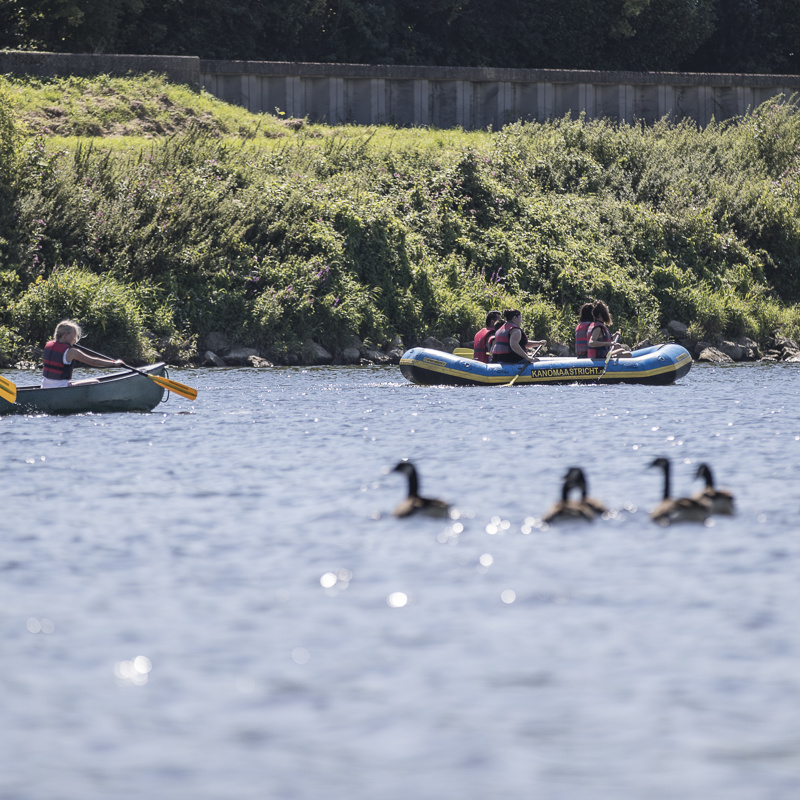 Twee groepjes mensen varen in een kano en roeiboot met eendjes op de voorgrond