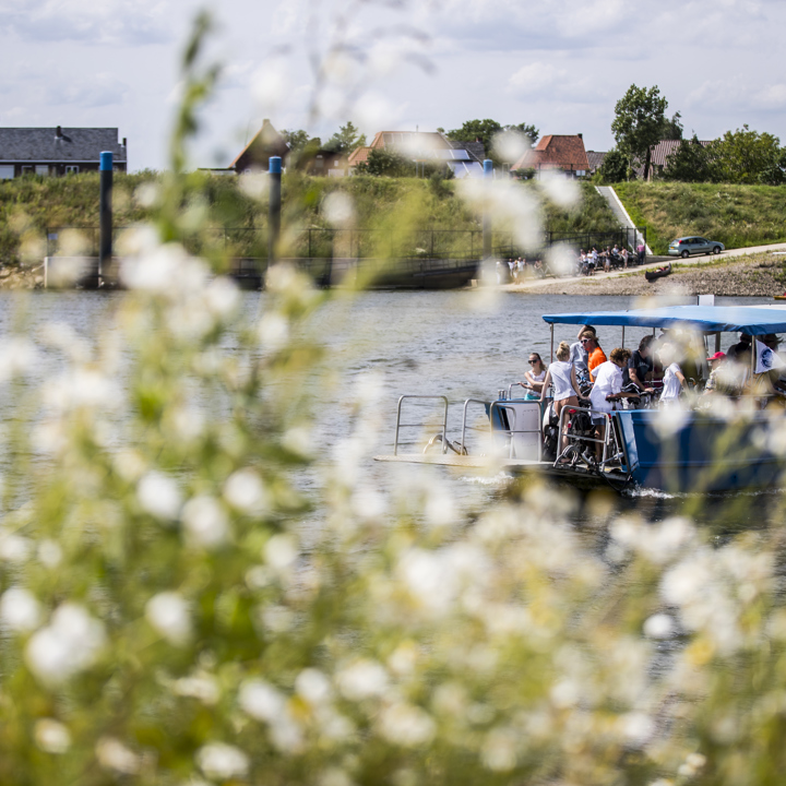 Een doorkijkje door bloemen met op de achtergrond een veerpontje met mensen dat over de Maas vaart