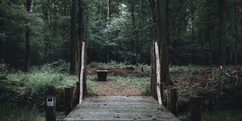 Een houten brug in de Schinveldse Bossen
