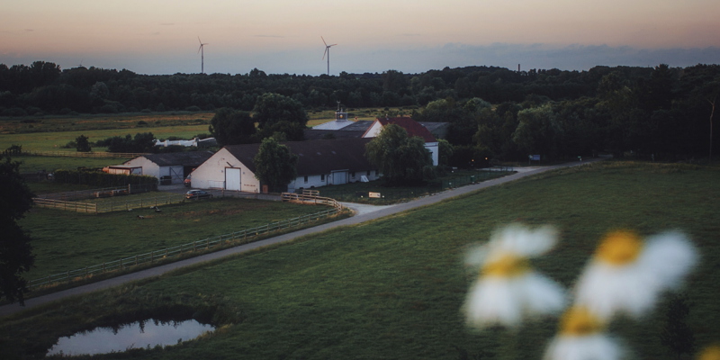 Een boerderij in een weiland met boterbloempjes