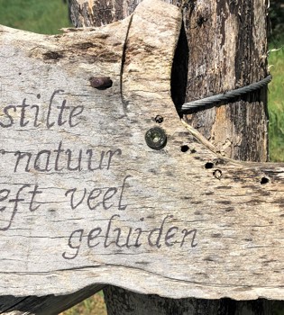 Gravering in stuk hout 'de stilte der natuur heeft veel geluiden'