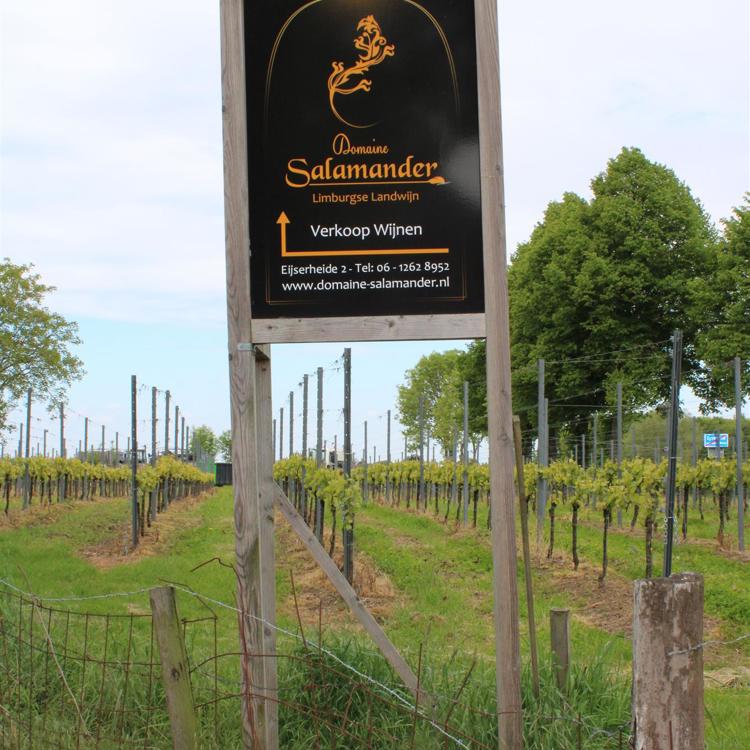 Contactinformatiebord van Domaine Salamander in wijngaard