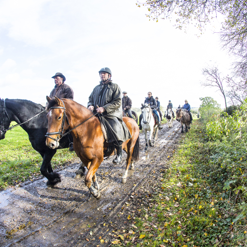 Een groep paardrijders rijden over een modderig paadje en dragen regenkleding