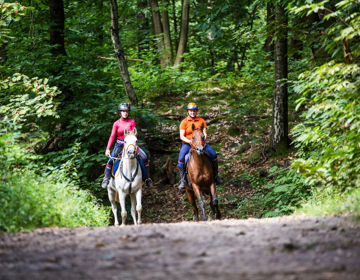 2 vrouwen op een wit en bruin paard op een bospad