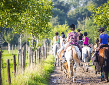 Achteraanzicht van jonge mensen op paarden op paardrijroute op een zonnige dag.