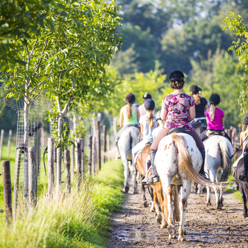 Achteraanzicht van jonge mensen op paarden op paardrijroute op een zonnige dag.