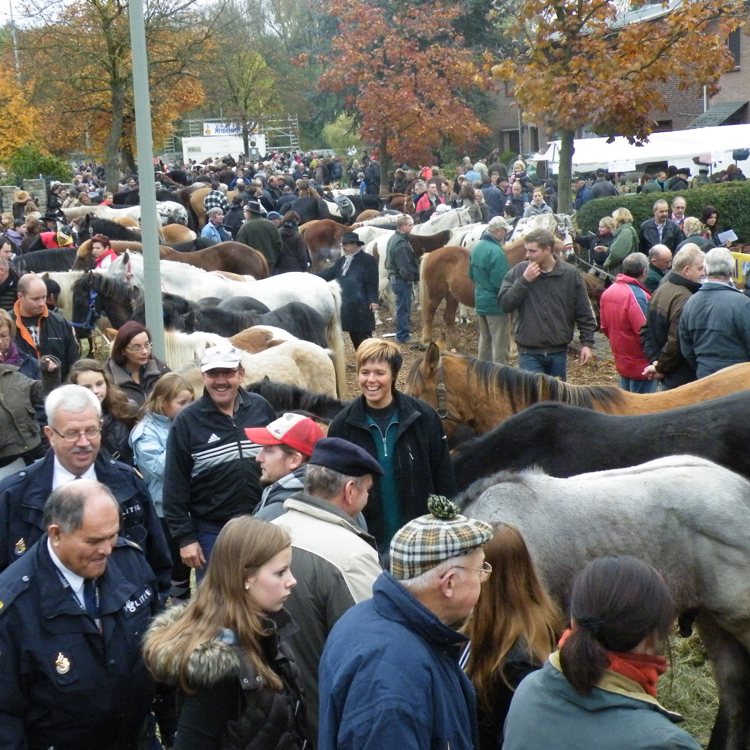 Heel veel mensen komen het paasvee bekijken op de jaarmarkt in Beek