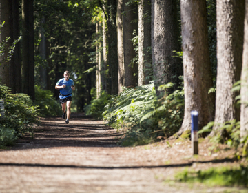 Een man met lichtblauw truitje en korte broek loopt hard over het joggingsparcour in het vijlenerbos
