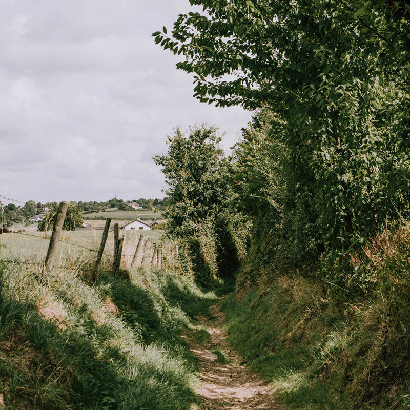 Een groene holle weg richting Vijlen