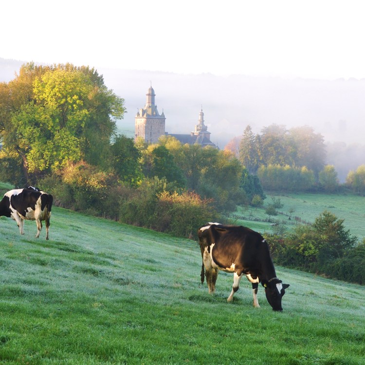 Mistig landschap met kasteel Beusdael