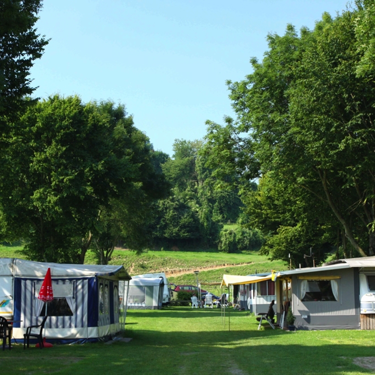 Caravans met voortent op grasveld onder bomen