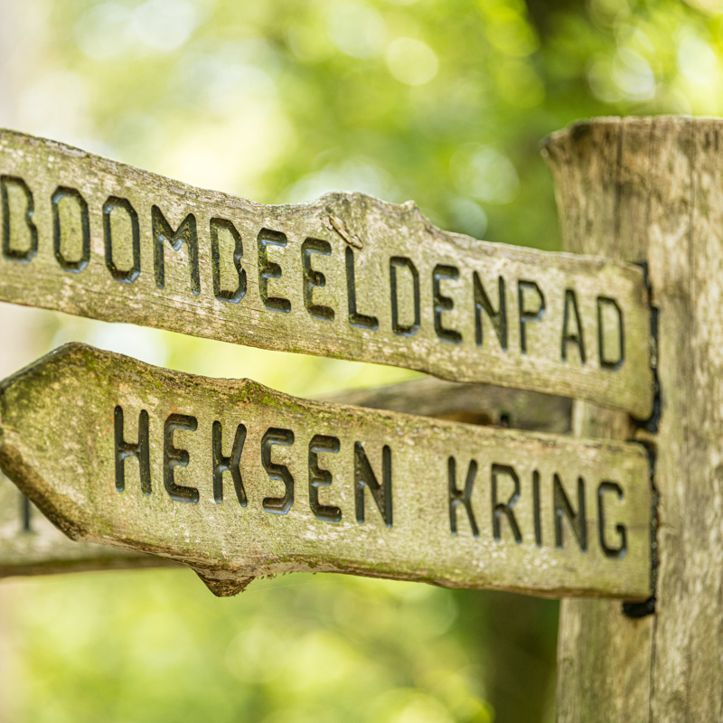 Een houten Wegwijzer in het bos voor kinderen