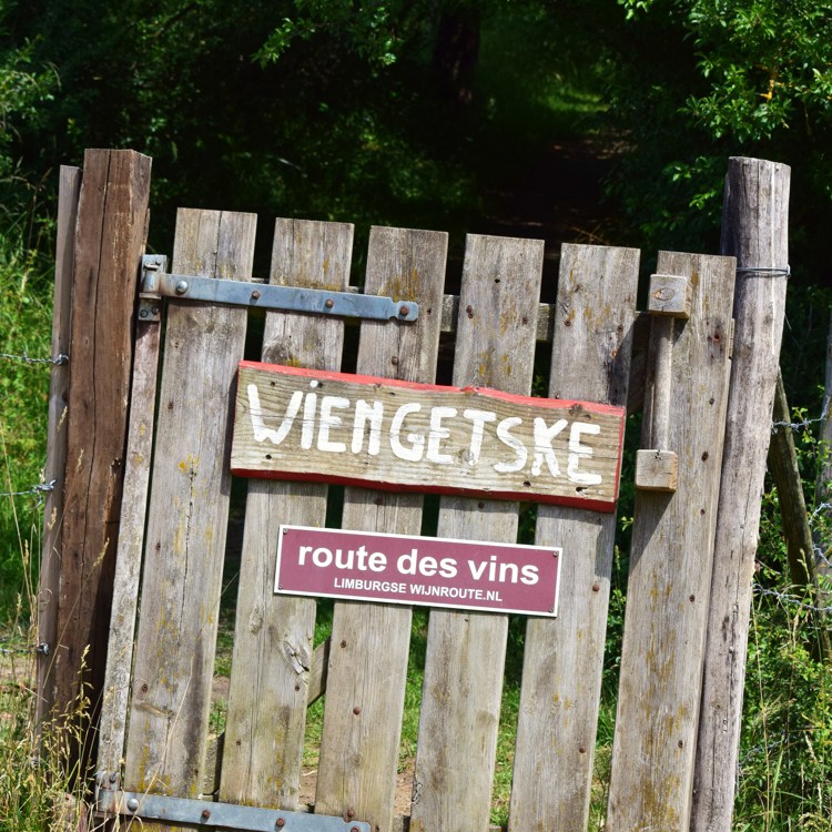 Het hekje van het wiengetske met op de achtergrond de begroeide heggen