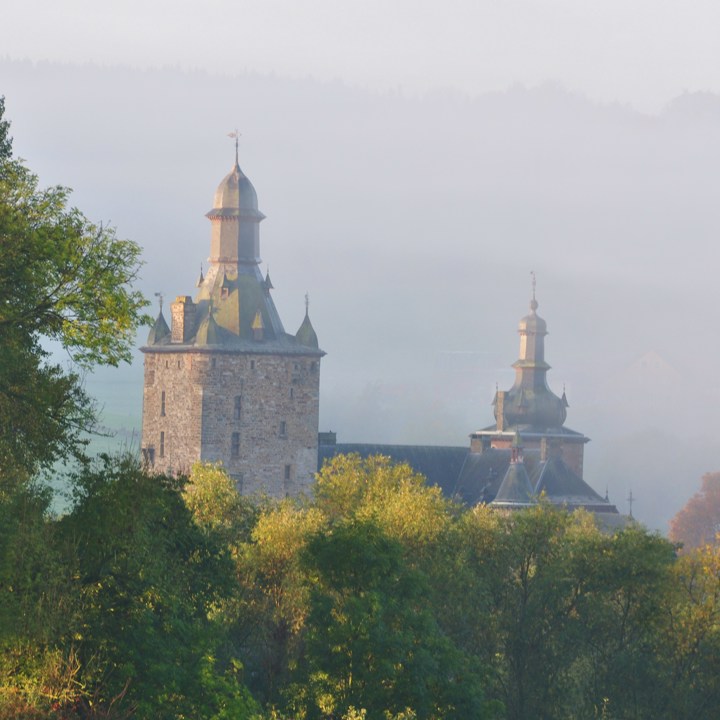 Kasteel in het Geuldal achter bomen met mist