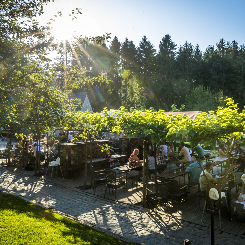 Een terras met bomen in bloei