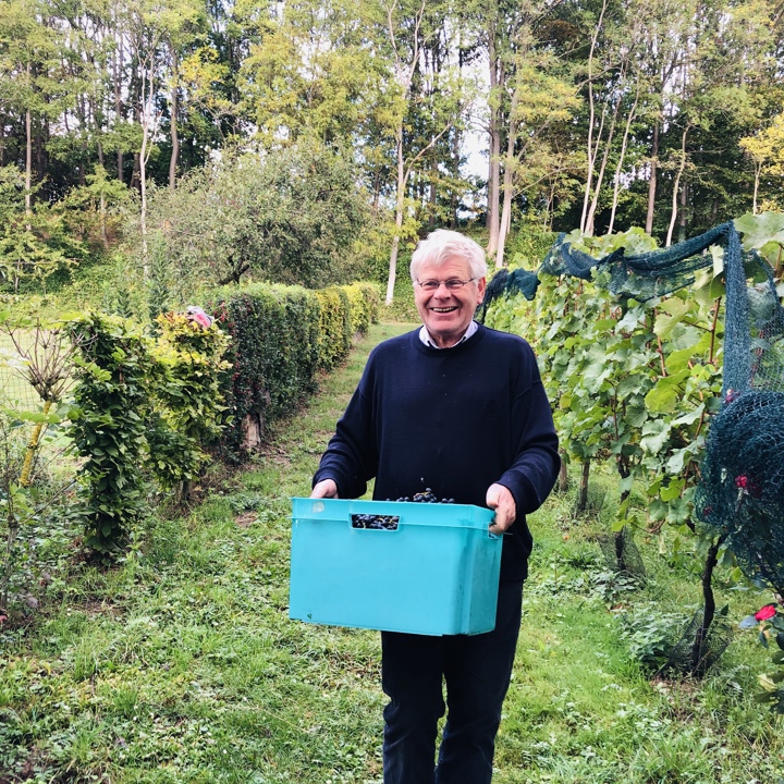 Wijnboer met een doosje geplukte druiven in de Wittemer Wijngaard