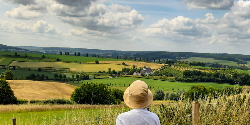 Familie Vanaf Eyserbosweg Met Uitzicht Op Populieren