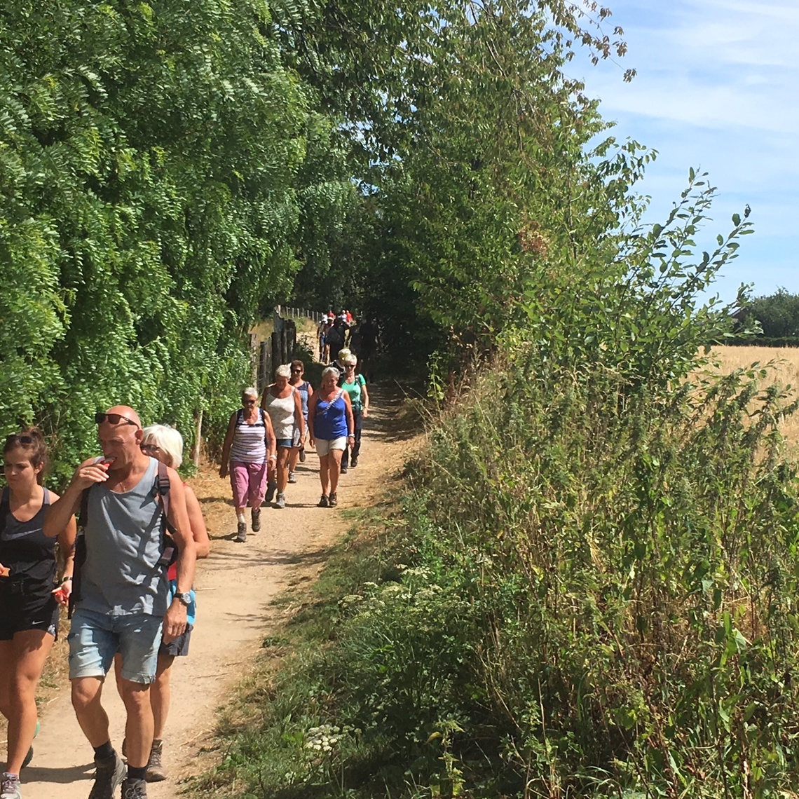Wandelende mensen op pad aan de bosrand op een warme zomerdag