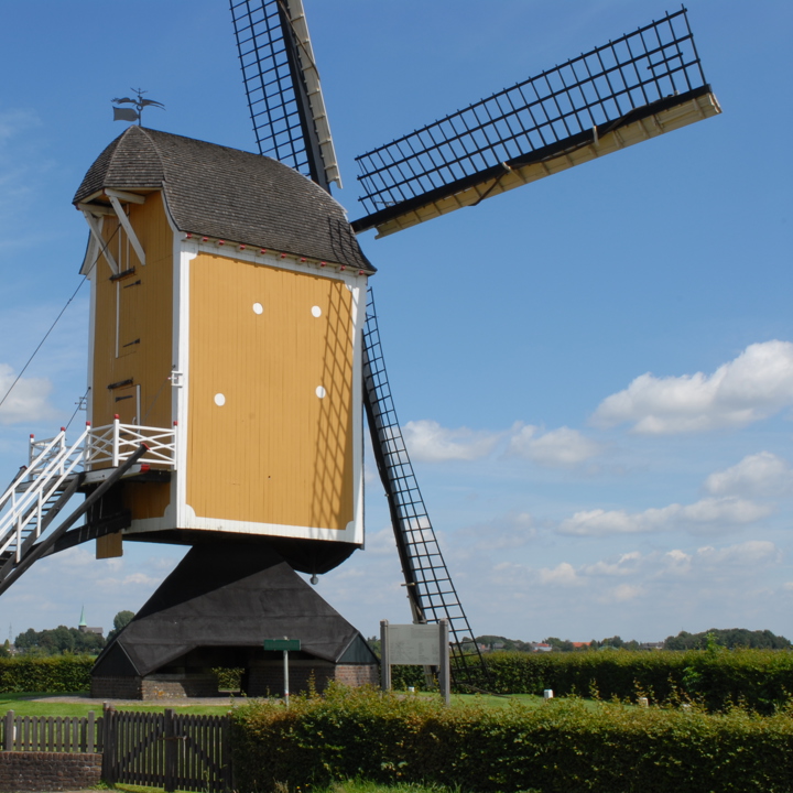 Zicht op de achterkant van de Sint Hubertusmolen in Genhout