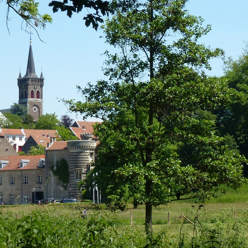 Overzicht over kasteel Elsloo en de Sint Augustinus kerk - Foto Jan Janssen