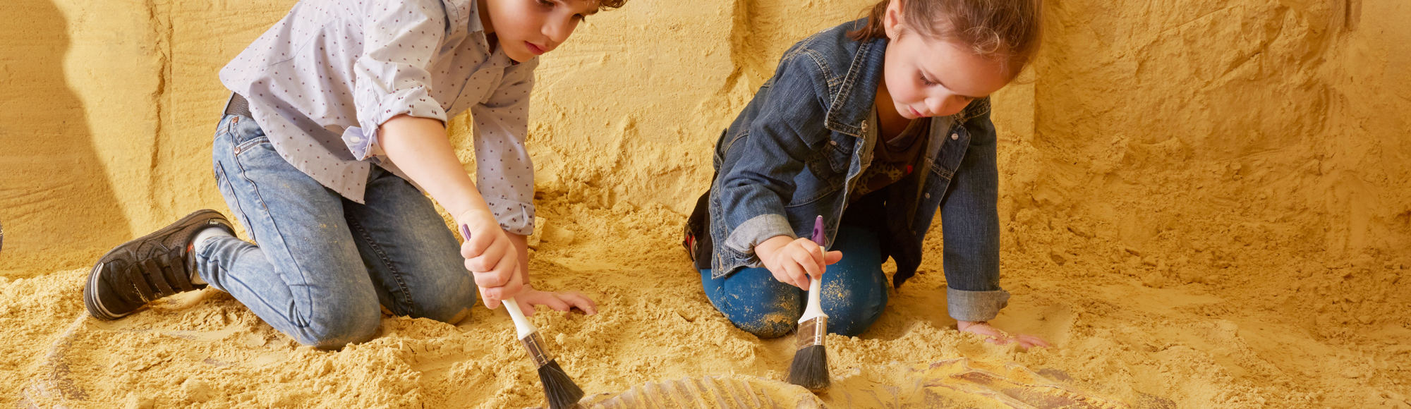 Kinderen ontdekken fossiel in het mergel van Mergelrijk